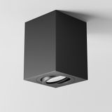 Фото C017CL-01B - 6