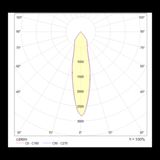 Фото C019CW-01W - 4