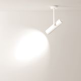 Фото C020CL-01W - 12