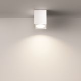 Фото C030CL-01W - 12