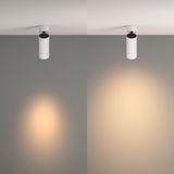 Фото C055CL-L12W3K-Z-W - 12