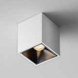 Фото C065CL-8W3K-SQ-WB - 6