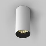 Фото C080CL-01-GU10-W - 6