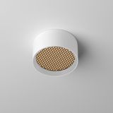 Фото C122CL-L7-3K-W - 3