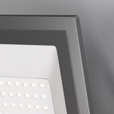 Фото FL001-L100B6K - 2