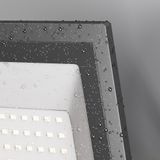 Фото FL001-L100B6K - 4