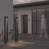 Фото O425FL-L20GF - 9