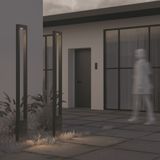 Фото O425FL-L25GF - 7