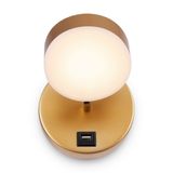 Фото FR10010CW-L6MG - 1