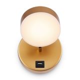 Фото FR10010CW-L6MG - 3