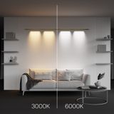 Фото C101CL-L1000-24W3-6K-BS - 5