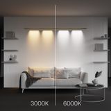 Фото C101CL-L1000-24W3-6K-BS - 7