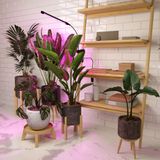 Фото FT-004 - 11