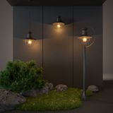 Фото GL 3002F - 4