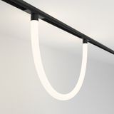 Фото TR101-2-20W4K-B - 2