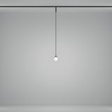 Фото TR181PL-1-4WTW-B - 4