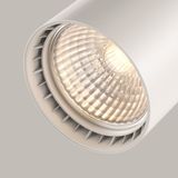 Фото TR003-1-10W3K-S-W - 10