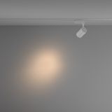 Фото TR003-1-10W3K-S-W - 4