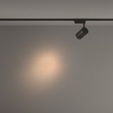 Фото TR003-1-26W3K-S-B - 12