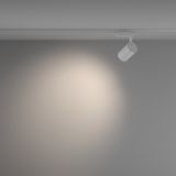 Фото TR003-1-26W4K-W-W - 4