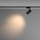 Фото TR003-1-36W3K-M-B - 5