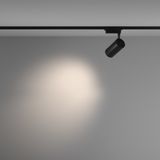 Фото TR003-1-36W4K-M-B - 4