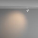 Фото TR003-1-6W3K-W-W - 4