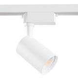 Фото TR003-1-6W4K-W - 6