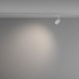 Фото TR003-1-6W4K-W-W - 4