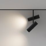 Фото TR005-2-2X12W3K-B - 4