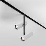 Фото TR005-2-2X12W4K-BW - 3