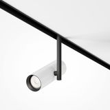 Фото TR005-4-12W-DS-BW - 3