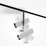 Фото TR005-4-2X12W-DS-BW - 5