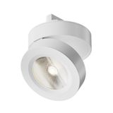 Фото TR006-1-12W3K-W4K - 1