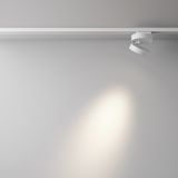 Фото TR006-1-12W3K-W4K - 7