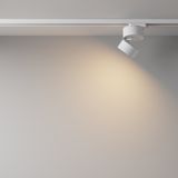 Фото TR007-1-12W3K-W - 4