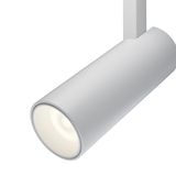 Фото TR019-2-10W4K-W - 2