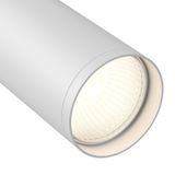 Фото TR020-1-GU10-W - 6