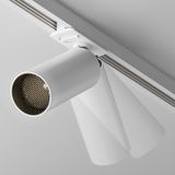 Фото TR021-1-12W3K-W-D-W - 7