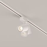 Фото TR029-3-10W3K-S-W - 13