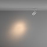 Фото TR029-3-10W3K-S-W - 4