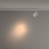 Фото TR029-3-20W3K-S-W - 10