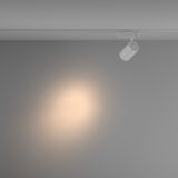 Фото TR029-3-20W3K-S-W - 4