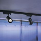 Фото TR029-3-20W4K-M-B - 2