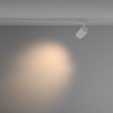 Фото TR029-3-26W3K-M-W - 4