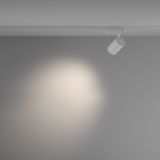 Фото TR029-3-26W4K-M-W - 4