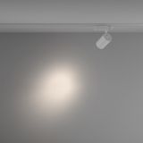 Фото TR029-3-26W4K-S-W - 4