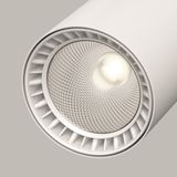 Фото TR029-3-26W4K-S-W - 9