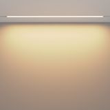 Фото TR030-4-30WTW-DSZ-W - 4