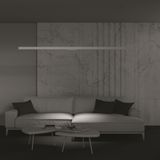 Фото TR031-2-12W3K-W - 13